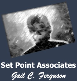 Set Point Associates